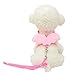 Cute Angel Small Pet Dog Leads and Collars Set, Fheaven Puppy Leads Designer Wing Adjustable Harness for Small Pet (S, Pink)