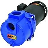 AMT Pump 316A-95 Sewage & Trash Pump, Cast Iron, 3 HP, 3 Phase, 230-460V, Curve A, 2" NPT Female Suction & Discharge Ports