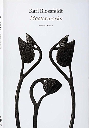 Karl Blossfeldt: Masterworks
