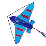 Besra 60inch Colorful Plane Kite Easy to Fly Aircraft Nylon Kite for Kids & Adults (Blue)