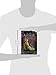 In the Afterlight (A Darkest Minds Novel): A Darkest Minds Novel