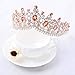 Tgirls Baroque Bridal Wedding Crowns and Tiaras Bride Princess Flower Rhinestone Headband Jewelry for Women and Girls (Rose Gold)