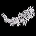 EVER FAITH Wedding Hair Accessories Austrian Crystal Zircon Flower Leaf Cluster Bridal Side Comb Clear Silver-Tone