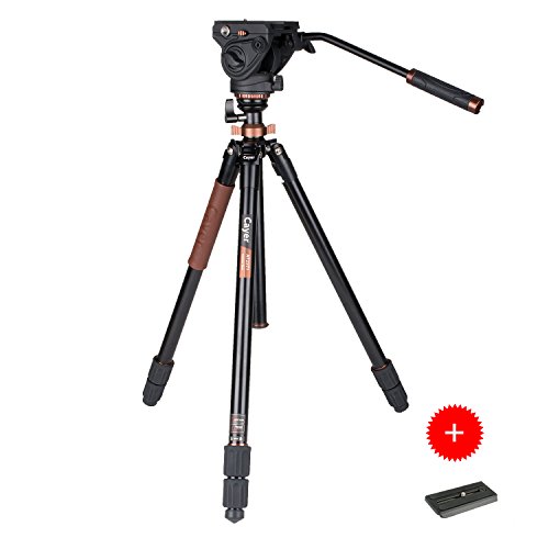 Fluid Head Tripod, Cayer AT2371 Pro Video Camera Tripod Legs With K5 Fluid Video Head, 75mm Built-In Half Ball Leveling Base, Max Loading 17.6 lb, 70.5 Inch Fluid Video Kit