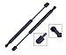 Tuff Support 2 Pieces (Set) Rear Window Glass Lift Supports 2001 To 2007 Ford Escape, 2005 To 2007 Mercury Mariner
