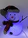 Philips Christmas USB Powered LED Glitter Snowman with Red & Black Plaid Hat and Scarf