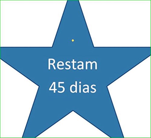 Livro Restam 45 dias