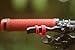 Mens Red- Athletics (12)