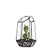 NCYP Small Geometric Terrarium - 4.1