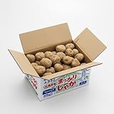 じゃがいも（男爵／混玉）〔10kg（目安60～70玉程度）〕ほくほくしたおいしさを羊蹄山南麓の真狩村から直送