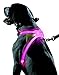 ZNFSZ - Multicolor LED Illuminated, Reflective Dog Harness (X-Large)