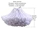 IF FEEL Women's Luxurious Soft Chiffon Petticoat Tulle Tutu Skirt (One Size, White)
