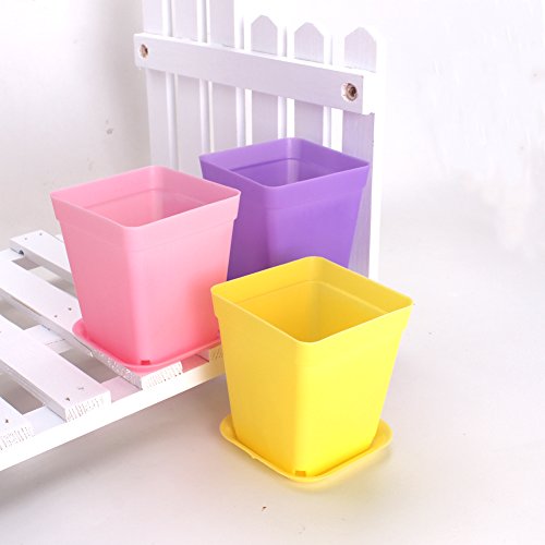 WARMBUY Colorful Plastic Plant Pots with Saucers, Set of 12