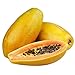 100 Papaya Natural Organic Fruit Seeds
