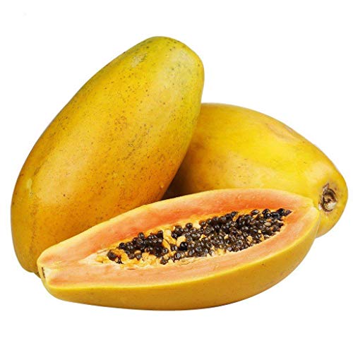 100 Papaya Natural Organic Fruit Seeds 100 Papaya Natural Organic Fruit Seeds