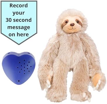 record a message stuffed animal