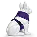 EcoBark Dog Harness - Eco-Friendly Max Comfort Harnesses - Luxurious Soft Mesh Halter - Over The Head Harness Vest- No Pull and No Choke for Puppy, Toy Breeds & Small Dogs (Medium, Purple)