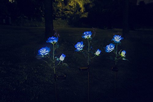 Amazon Com Customer Reviews Warm Light Xlux S60 Solar