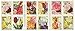 20 Botanical Art USPS Forever First Class Postage Stamps Beautiful Flower Bloom