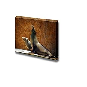 Canvas Prints Wall Art - Two Sea Lions in a Zoo Show Against a Rocky Background | Modern Wall Decor/Home Decoration Stretched Gallery Canvas Wrap Giclee Print. Ready to Hang - 12" x 18"