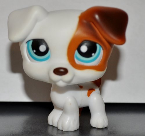Jack Russell #151 (Dog, White, Brown Accents) Littlest Pet Shop 2005 (Retired) Collector Toy - LPS Collectible Replacement Single Figure Loose (OOP Out of Package)