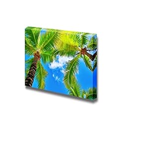 Close Up of Tropical Palms Under an Open...