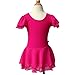 BHL Kids Girls Dance Leotard 3-14 Years Ruffle Sleeve (5-6, Hot Pink)
