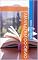 Livro AMAR ALEM DO OBVIO