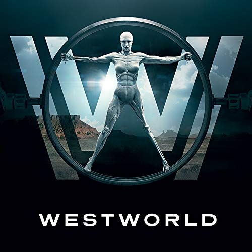 Array Westworld (Logo) 40 x 40cm Canvas