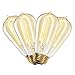 E26 Edison Bulb 40 Watt - Fully Dimmable, ST18 Teardrop, E26 Base, Warm White, 2200K, Hairpin Filament, Vintage Style Incandescent Light Bulbs, Flatbush Collection - Set of 4