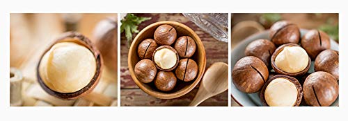 OUZ123 Instant Food Whole Macadamia Nuts Creamy Taste Xia Wei Yi Guo 夏威夷果 250g/8.8oz