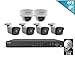 2MP IP Security Camera System, Laview 8 Channel Video NVR Recorder with 2TB Hard Drive, 4 Bullet and 2 Dome 1080p Waterproof IP66 CCTV Indoor/Outdoor Home Surveillance System with 100ft Night Vision