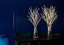 LITBLOOM Lighted White Birch Twig Branches 30IN 150