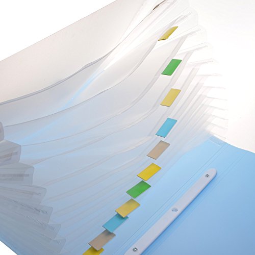 Cosmos ® Expanding Accordion File Folder with Carrying Handle, A4 Size