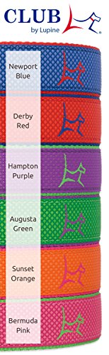 LupinePet Club 1" Derby Red 16-28" Adjustable Collar for Large Dogs