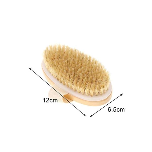 2PCS-Foot-Scrubber-Stone-Natural-Pummice-Stones-Callus-Foot-Scrubber-Hard-Skin-Remover-Foot-Stone-with-Dry-Bath-Brush-for-Hands-Body-Foot-Dead-Hard-Skin 2PCS Foot Scrubber Stone, Natural Pummice Stones Callus Foot Scrubber Hard Skin Remover Foot Stone with Dry Bath Brush…