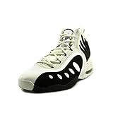 Nike Men's Sonic Flight Basketball Shoe