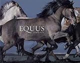 Equus by