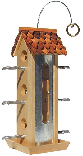 Perky Pet 50171 2 Lb Capacity Fresh Designs Tin Jay Bird Feeder