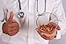 Apricot Kernels/Seeds (2 Pounds / 908 grams) Hunza Gold Bitter Certified Organic Raw