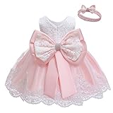 Girl Bowknot Lace Dresses A-Line Tiered Tutu Tulle