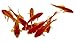 Toledo Goldfish Live Comet Goldfish for Ponds, Aquariums or Tanks – USA Born and Raised – Live Arrival Guarantee (3 to 4 inches, 3 Fish)thumb 1