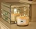 Caitlins Home Scented Candle Aromatherapy White Tea and Ginger 3 Wick Natural Wax with Essential Oils