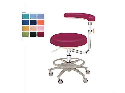 SoHome Portable Dental Chairs for Dentist HS-7 Medical Adjustable Mobile Assistant Chair PU/Microfiber Leather (PU Leather)