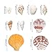 Jangostor Shells Set (9 Kinds 150PCS Sea Shells with Hole/ 5 PCS Metal Keychain/ 20 PCS Jump Rings/ 5 M Crystal Elastic String) Natural Colorful Seashells Perfect for Jewelry Making, Home Decoration