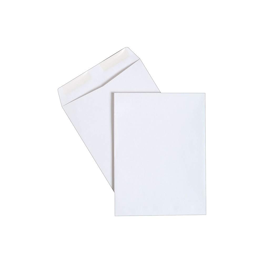 Staples 486949 Gummed Catalog Envelopes 9"L X 12"H White