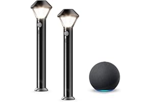 Ring Solar Pathlights, 2-pack bundle with Echo (4th Gen) - Charcoal