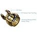 SharkBite Faucet Connection Kit with Angle Stops, Push to Connect Brass Plumbing Fittings, PEX Pipe, Copper, CPVC, PE-RT, 25087