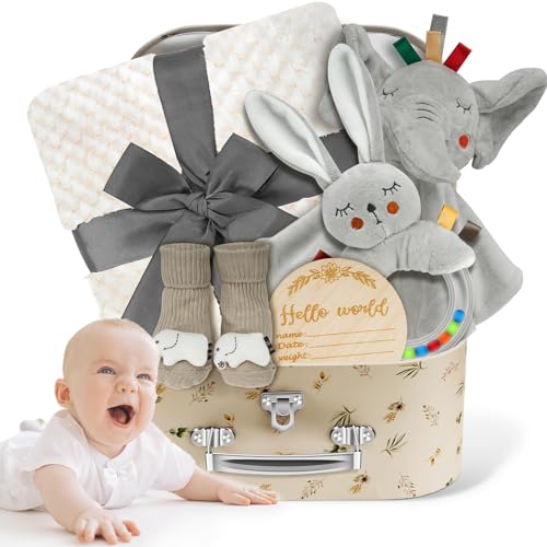 Baby Boy Gift Basket Set