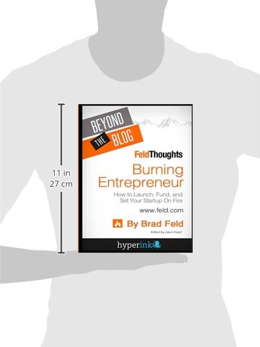 Beyond The Blog Brad Feld S Burning Entrepreneur How To Launch Fund And Set Feld Brad 9781614641391 Amazon Com Books